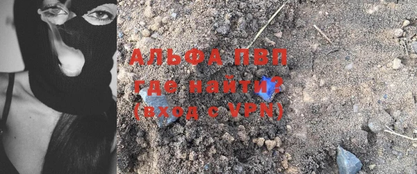 дмт Богданович