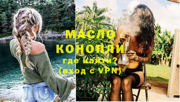 дмт Богданович