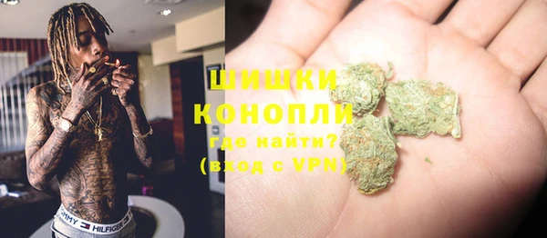 дмт Богданович