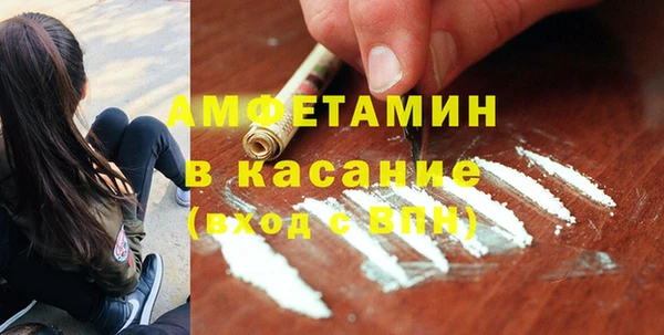 дмт Богданович
